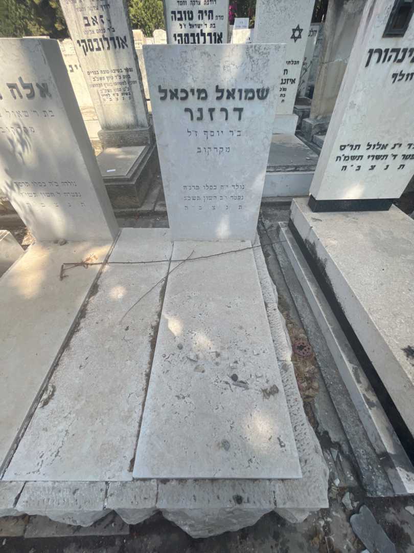 קברו של שמואל מיכאל דרזנר. תמונה 1