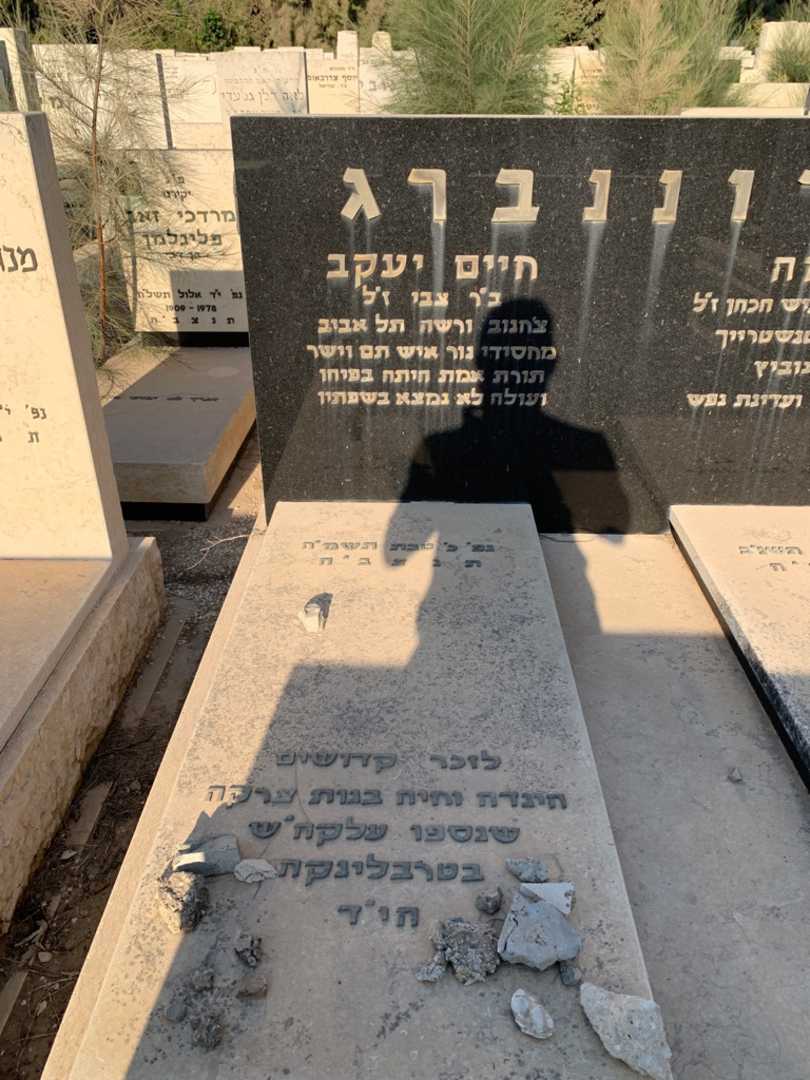 קברו של חיים יעקב קרוננברג. תמונה 2