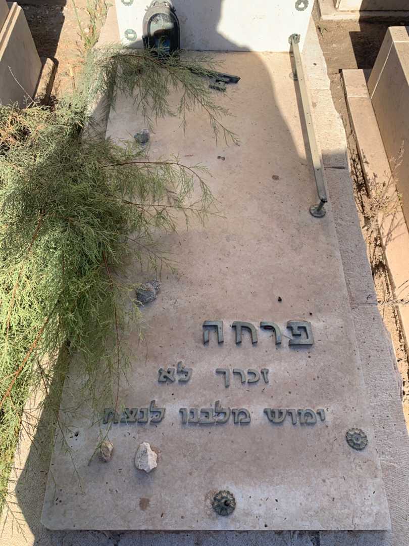 קברו של פרחה כהן. תמונה 2