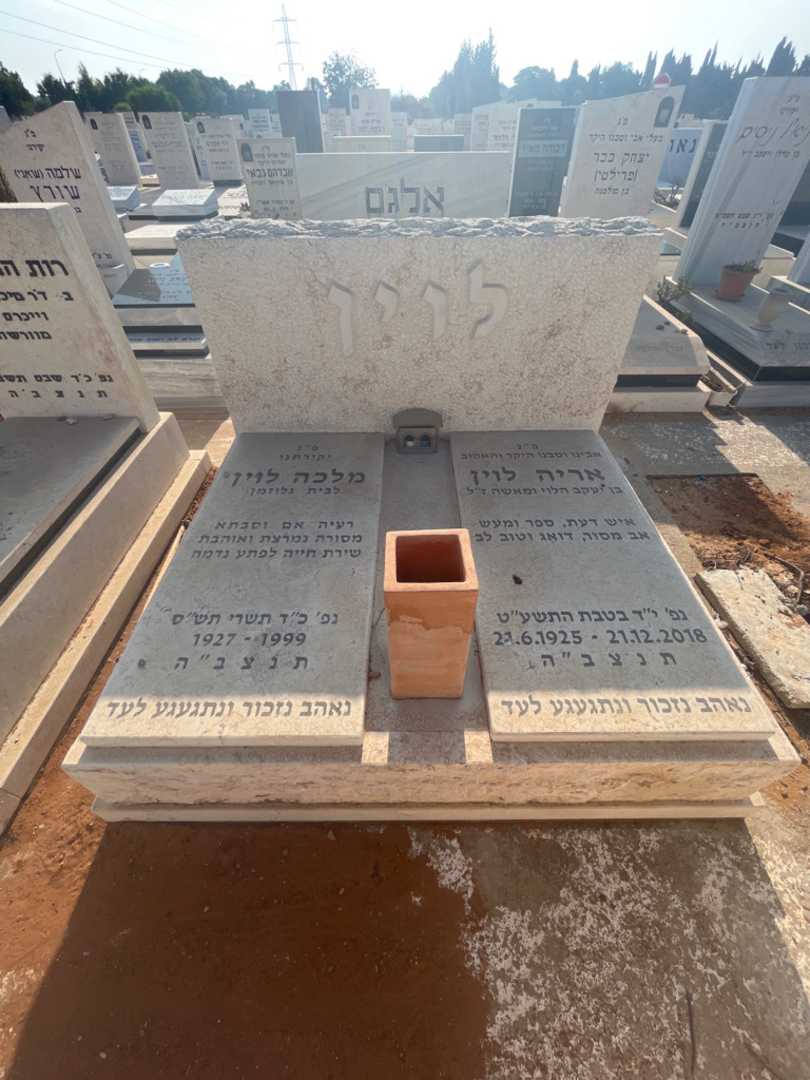 קברו של אריה לוין. תמונה 1