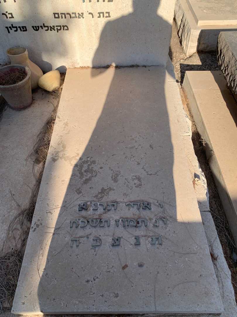 קברו של נחה נפרסטק. תמונה 2