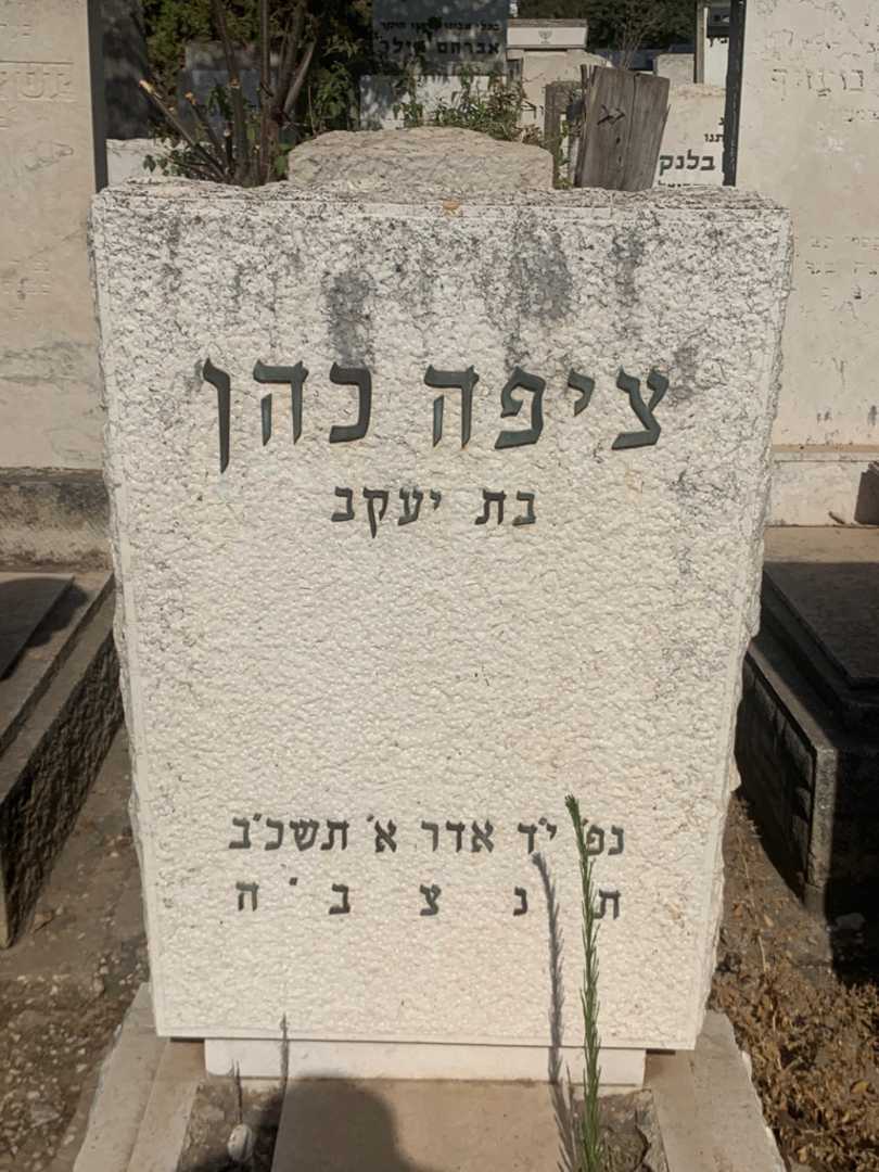 קברו של ציפה כהן