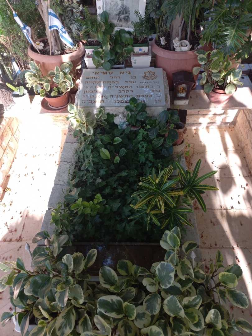 קברו של גיא סודאי