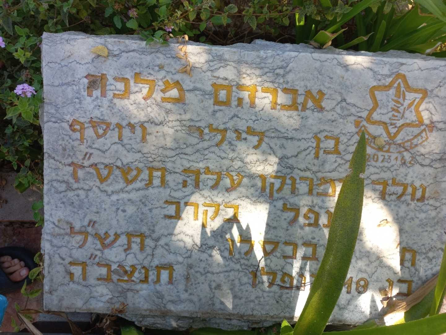 קברו של אברהם מלכה. תמונה 2