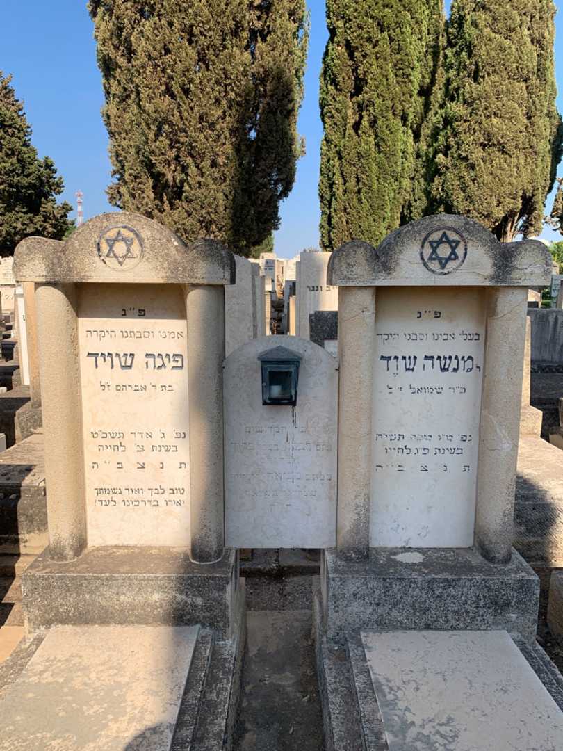קברו של פיגה שויד. תמונה 1
