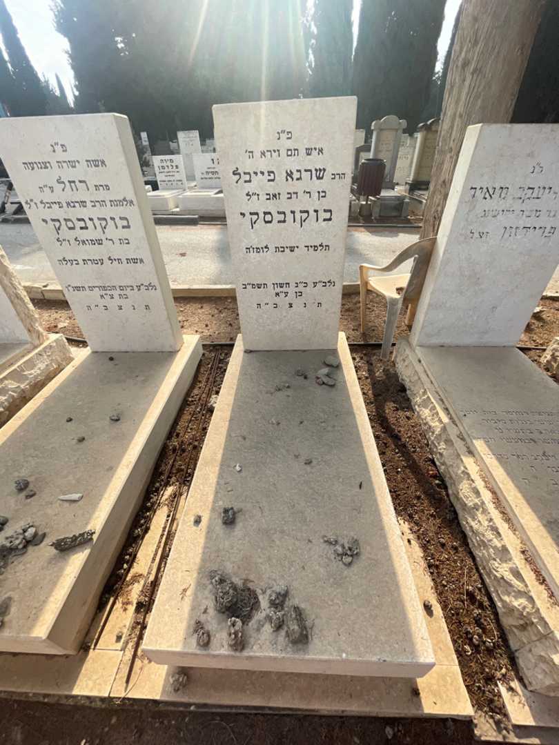 קברו של שרגא פייבל בוקובסקי. תמונה 2