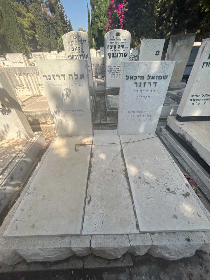 קברו של שמואל מיכאל דרזנר. תמונה 2