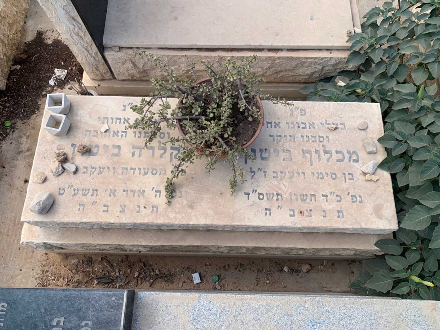 קברו של מכלוף ביטון