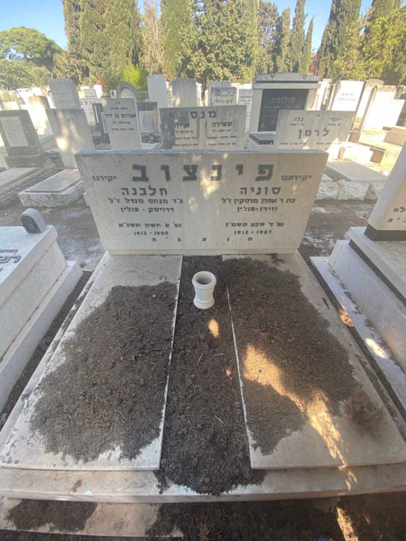 קברו של חלבנה פינצוב מנדל. תמונה 1
