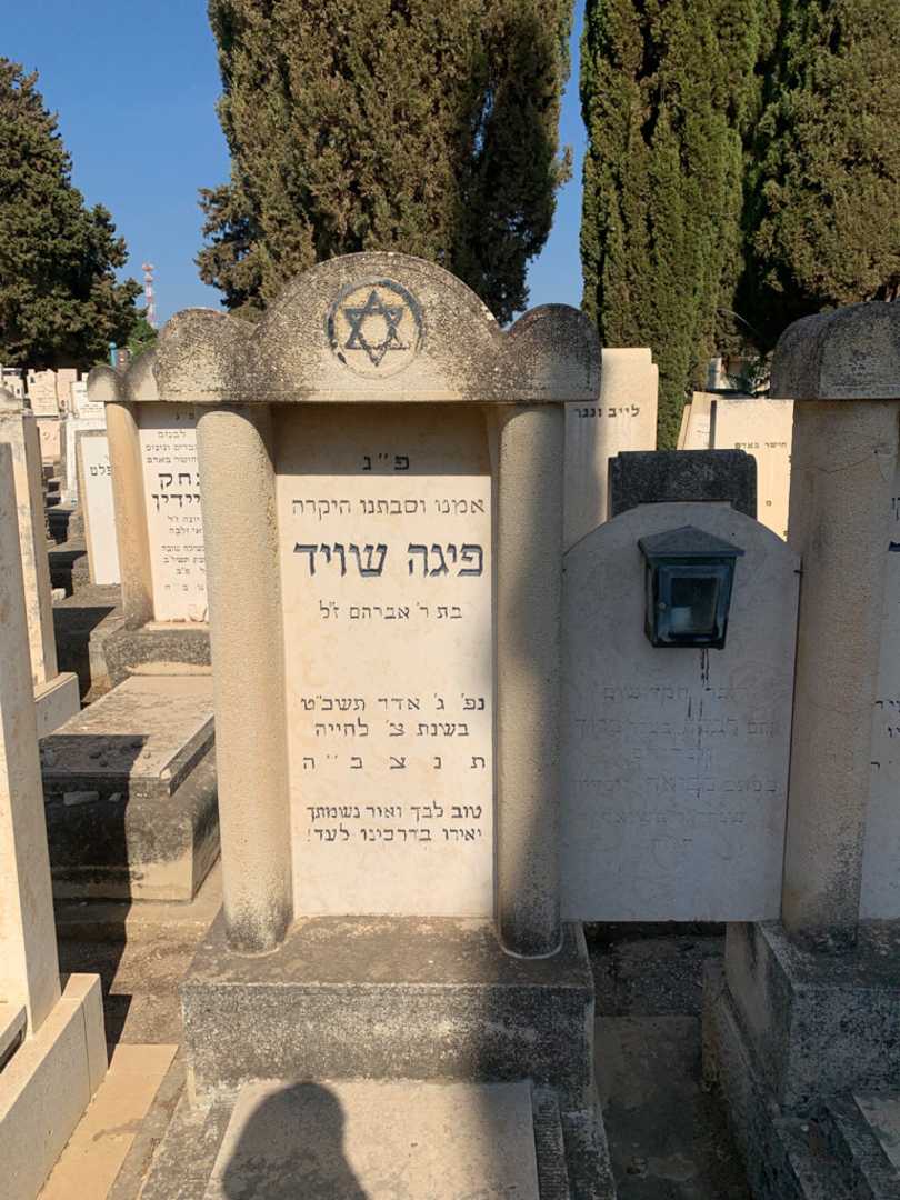 קברו של פיגה שויד. תמונה 2