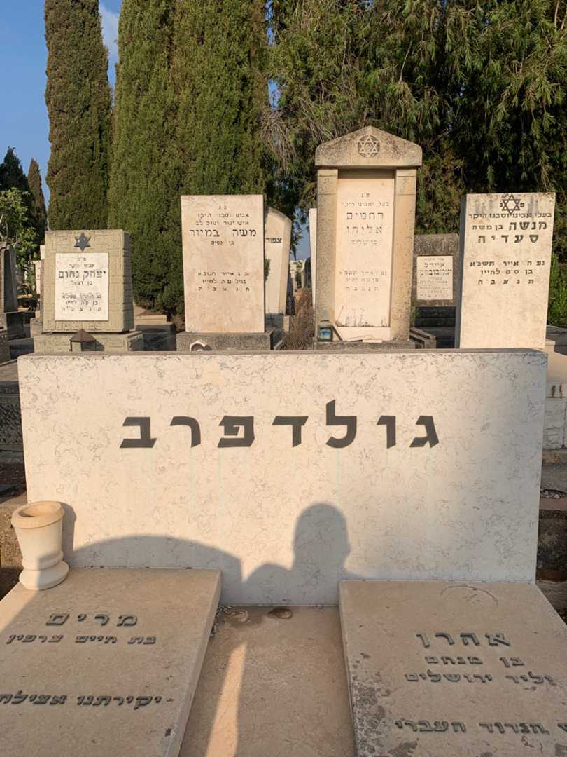 קברו של אהרן גולדפרב. תמונה 1