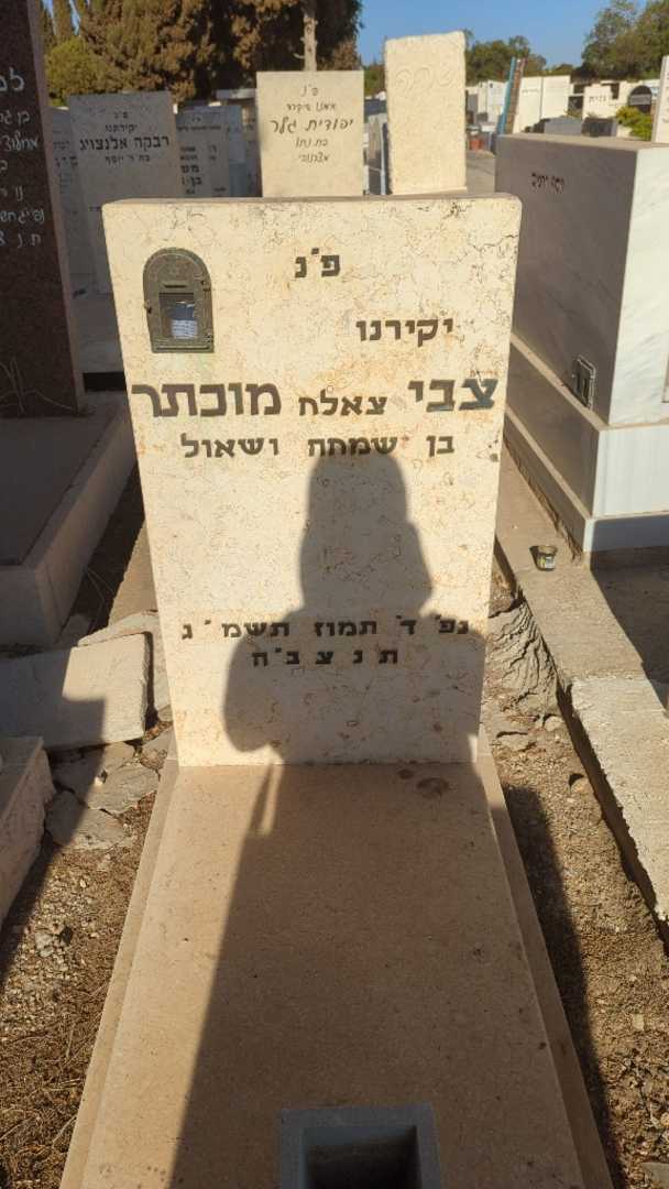 קברו של צבי "צאלח" מוכתר