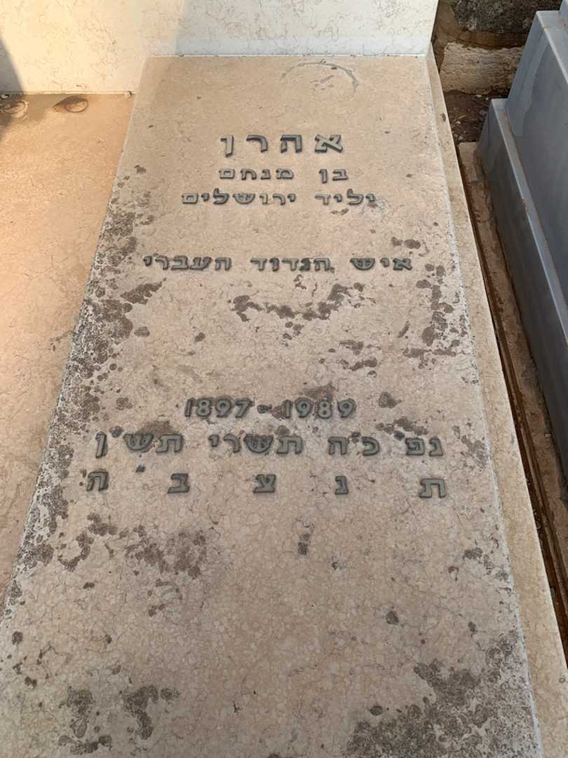 קברו של אהרן גולדפרב. תמונה 2