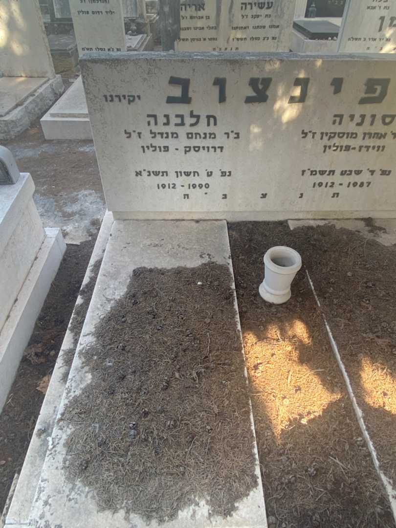 קברו של חלבנה פינצוב מנדל. תמונה 2
