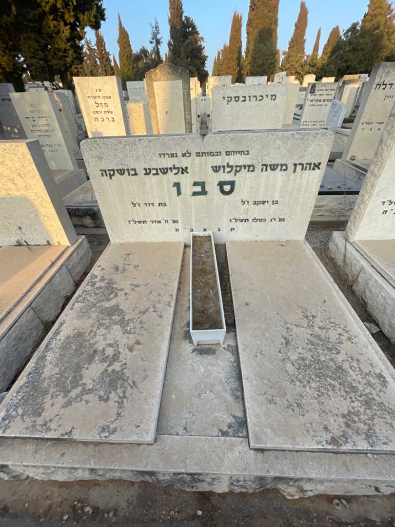 קברו של אלישבע בושקה סבו. תמונה 1