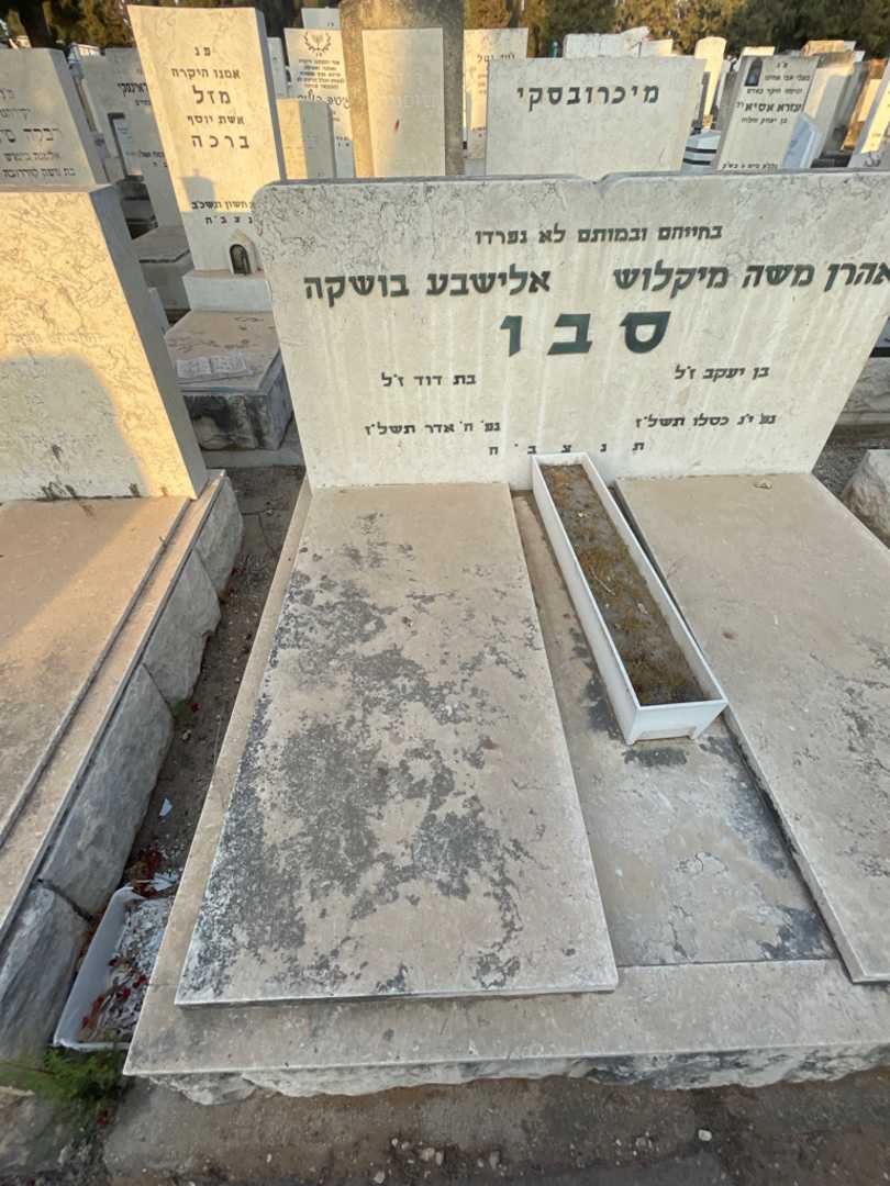 קברו של אלישבע בושקה סבו. תמונה 2