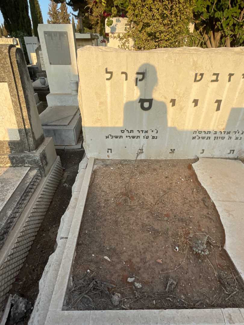 קברו של קרל וייס. תמונה 2