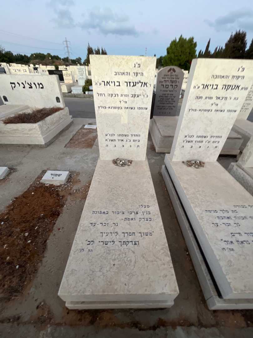 קברו של אליעזר בויאר. תמונה 2