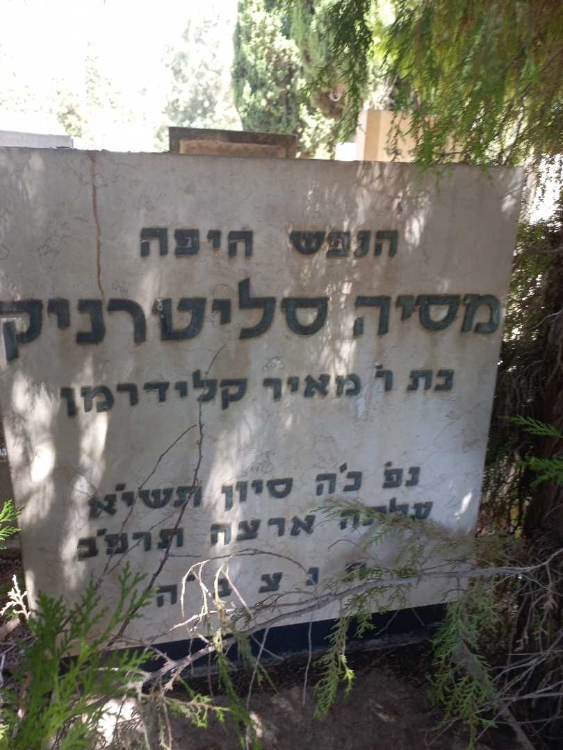 קברו של מסיה סליטרניק
