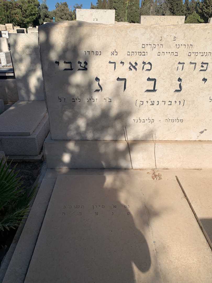 קברו של מאיר צבי וינברג (ויברנצ'יק). תמונה 2