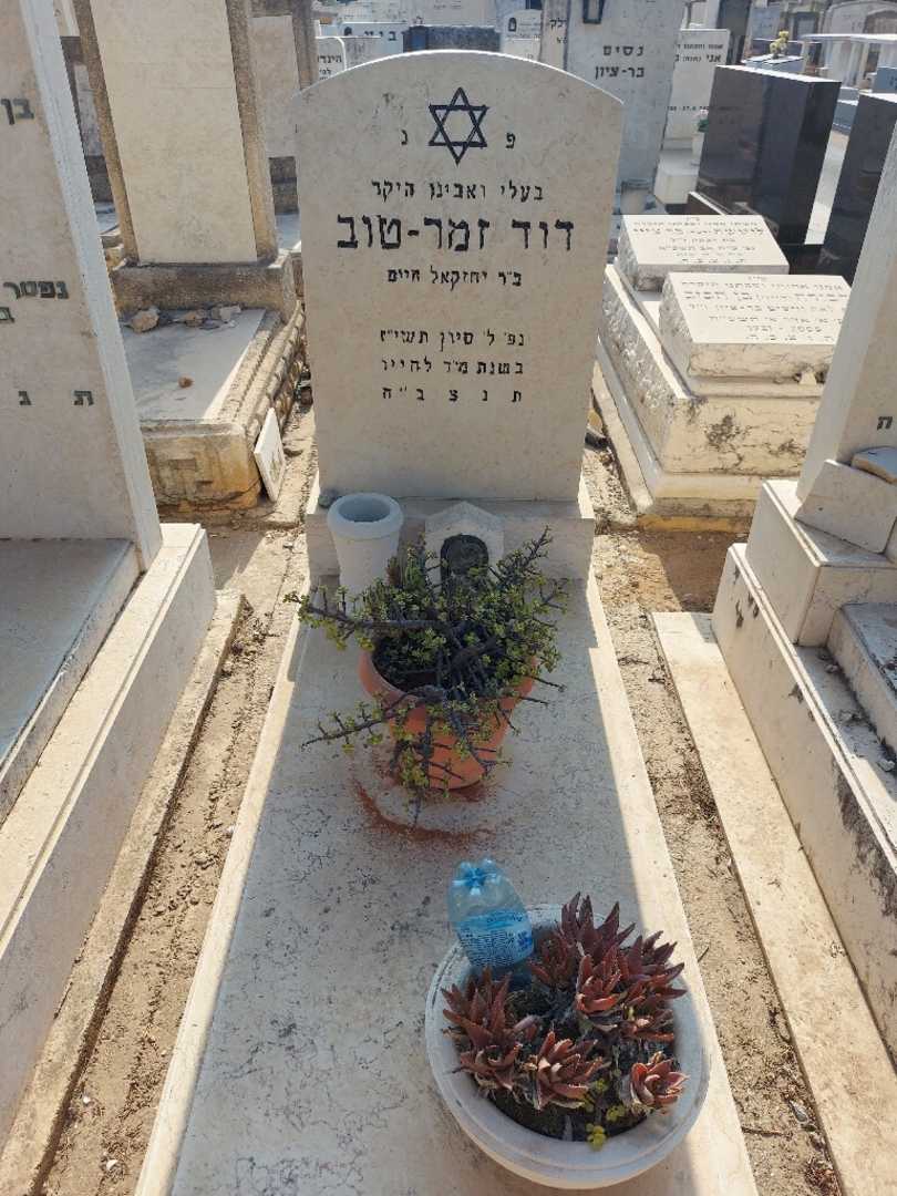 קברו של דוד זמר-טוב