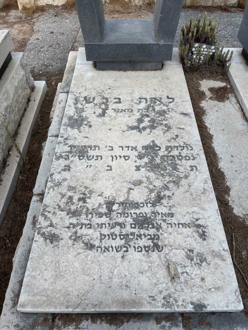 קברו של מאיר שפירו. תמונה 2