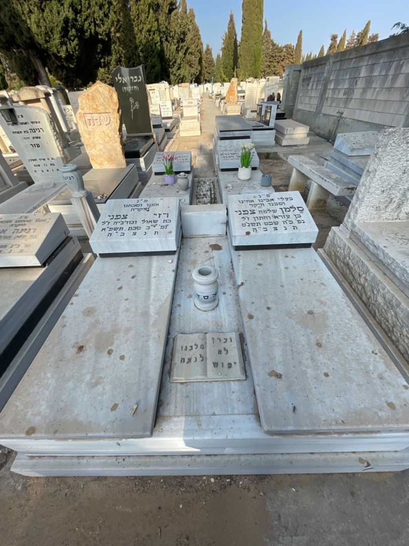 קברו של סלמן "שלמה" צפני. תמונה 1