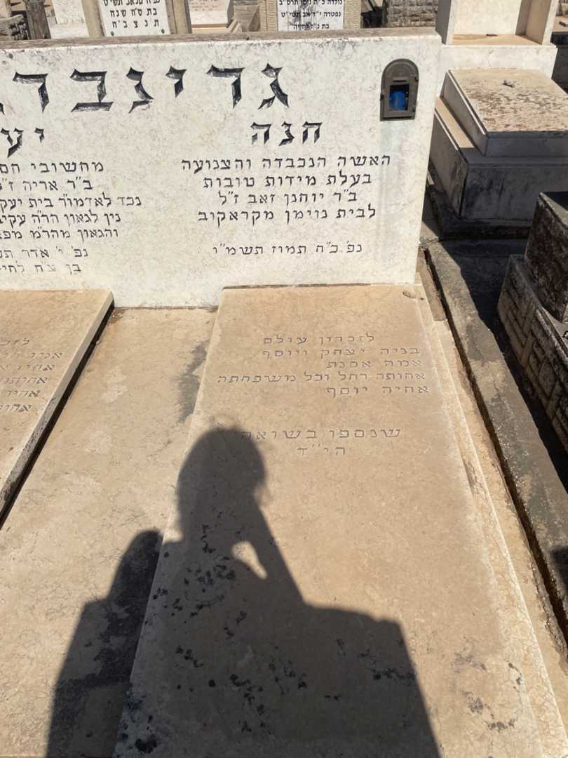 קברו של חנה גרינברג. תמונה 2