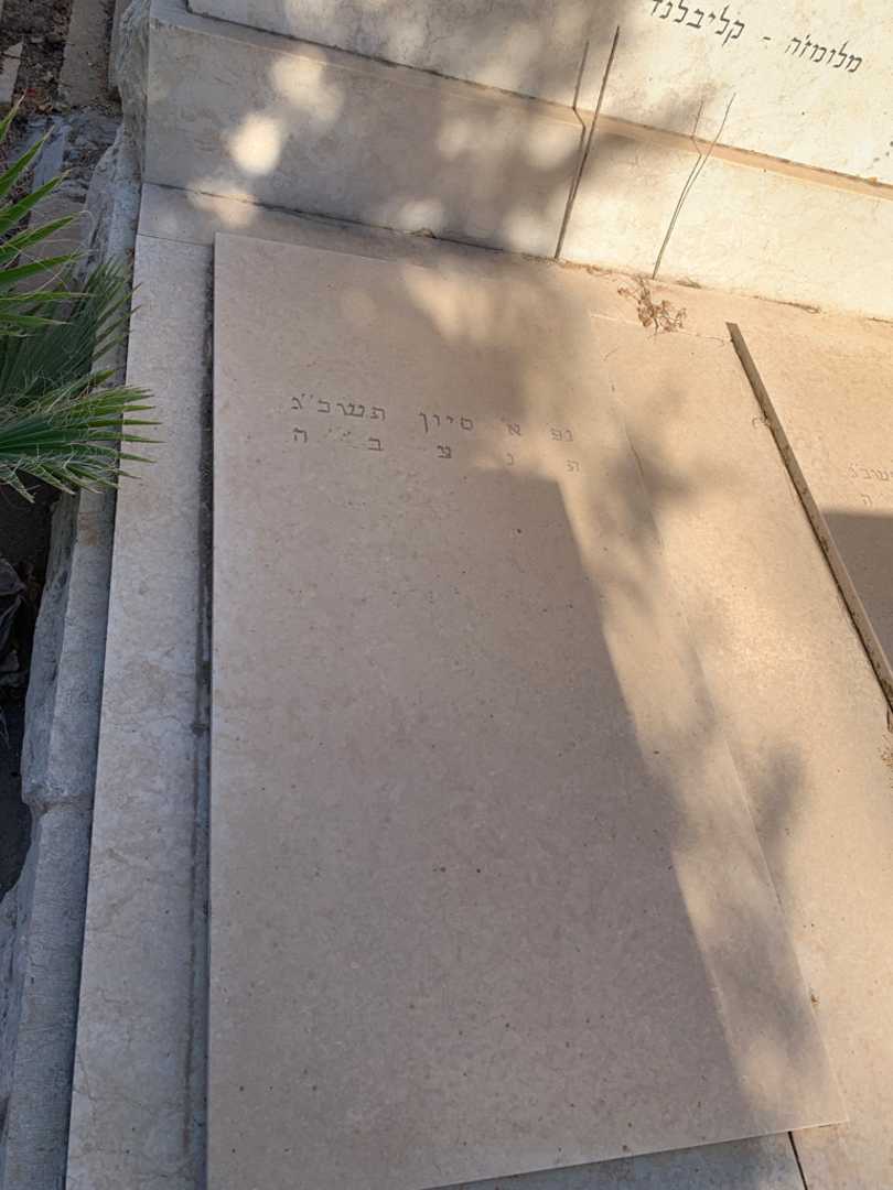 קברו של מאיר צבי וינברג (ויברנצ'יק). תמונה 3