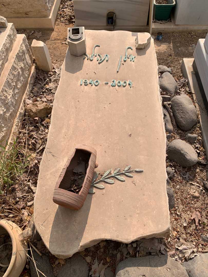 קברו של אילן תהילה