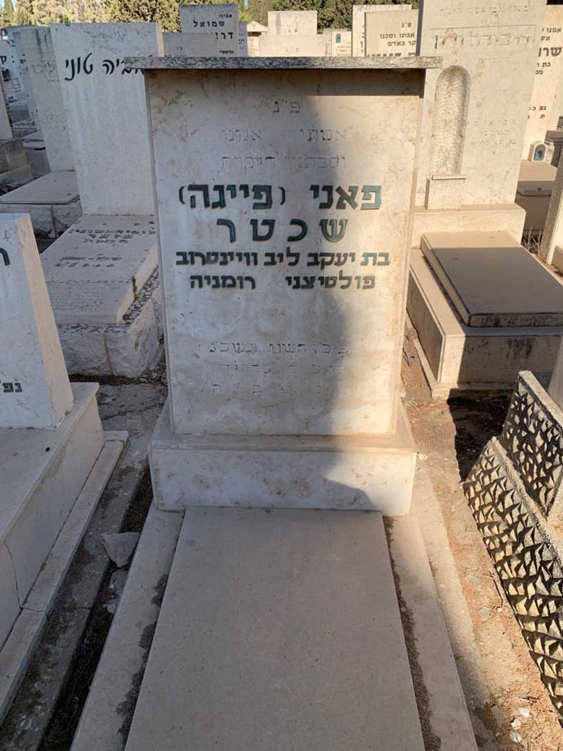 קברו של פאני "פייגה" שכטר. תמונה 1