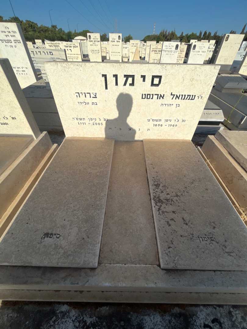 קברו של צרויה סימון. תמונה 2