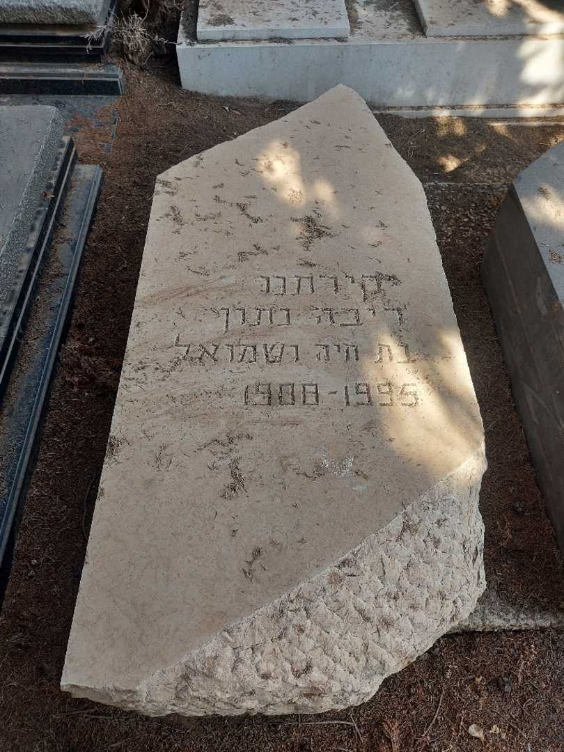 קברו של ריבה נתון. תמונה 1