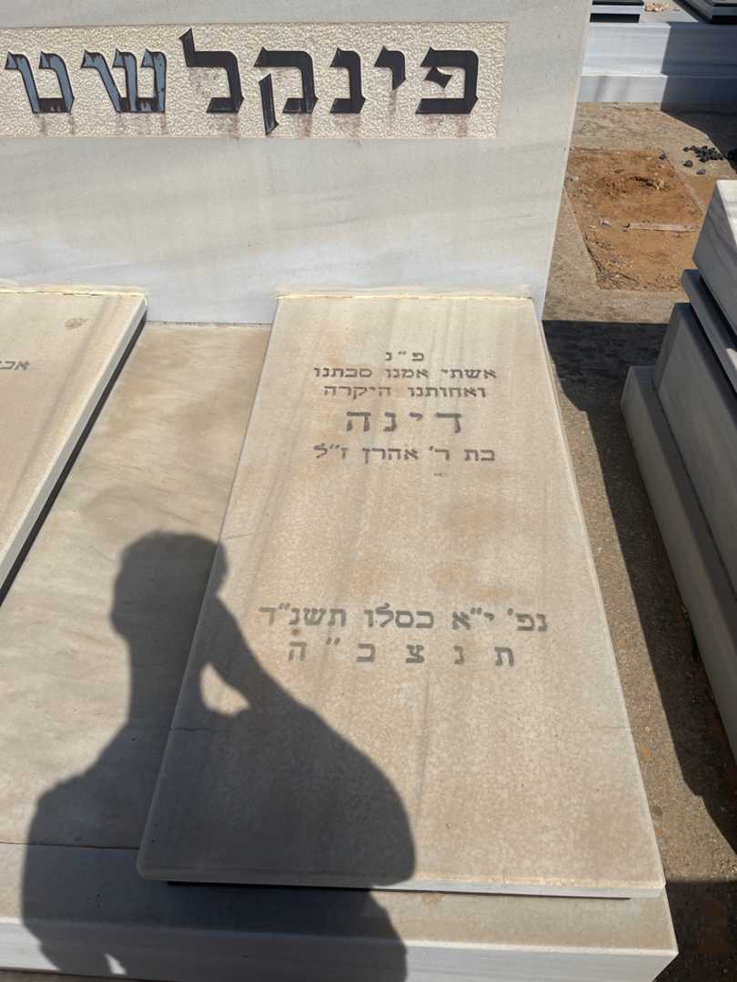 קברו של דינה פינקלשטיין. תמונה 1