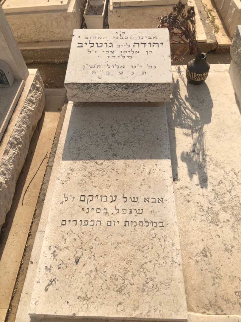 קברו של יהודה לייב גוטליב. תמונה 1