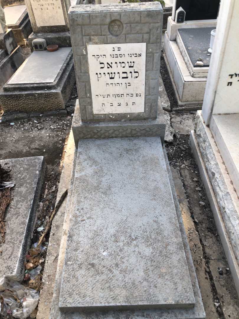 קברו של שמואל לובושיץ