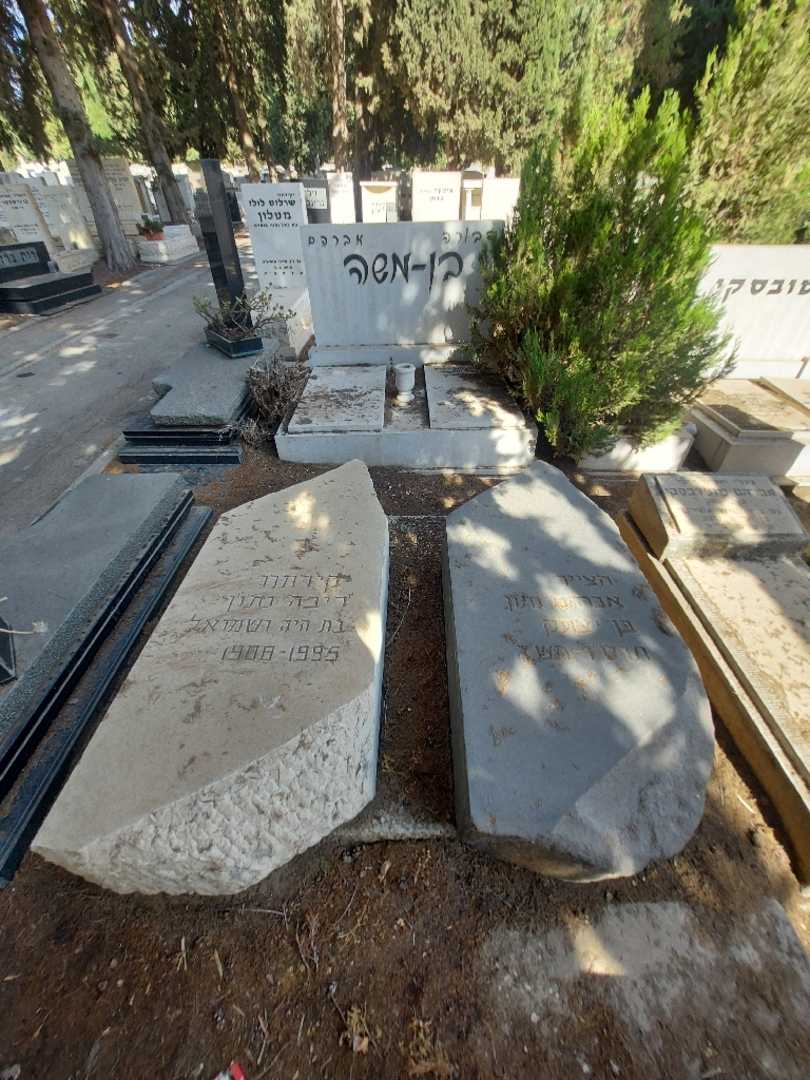 קברו של ריבה נתון. תמונה 2