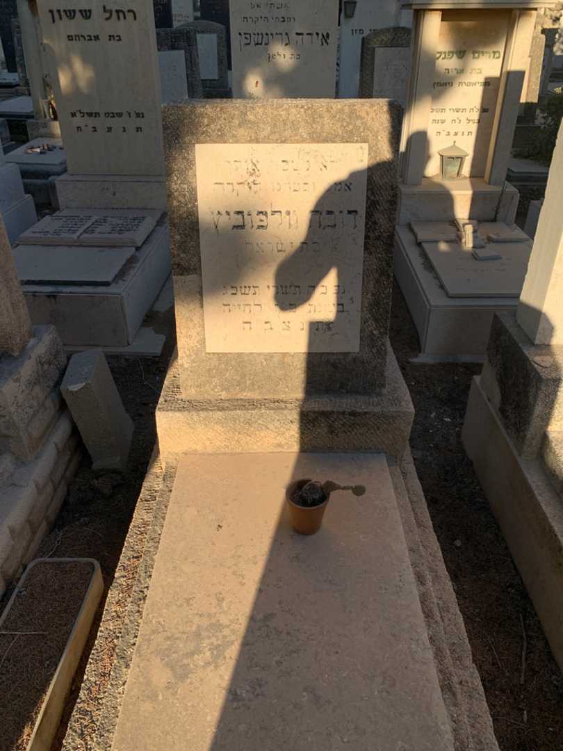 קברו של דובה וולפוביץ