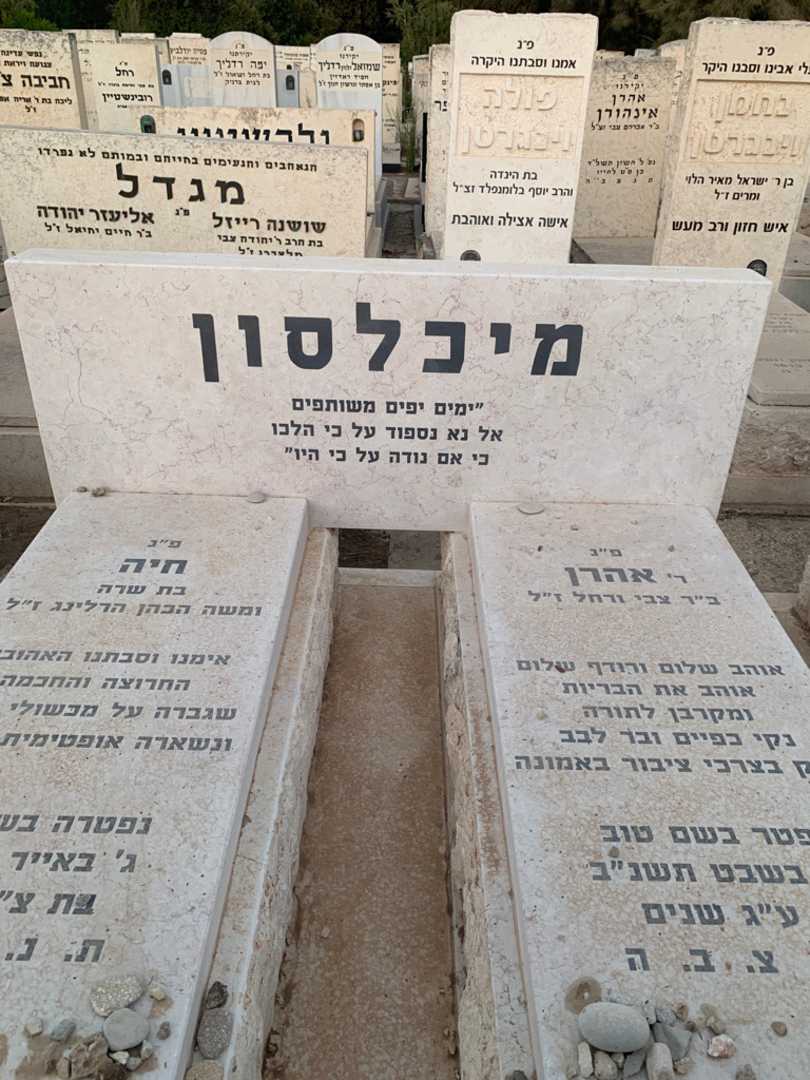 קברו של חיה מיכלסון. תמונה 1