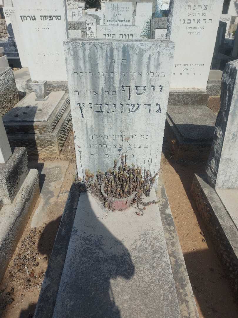 קברו של יוסף גרשונוביץ
