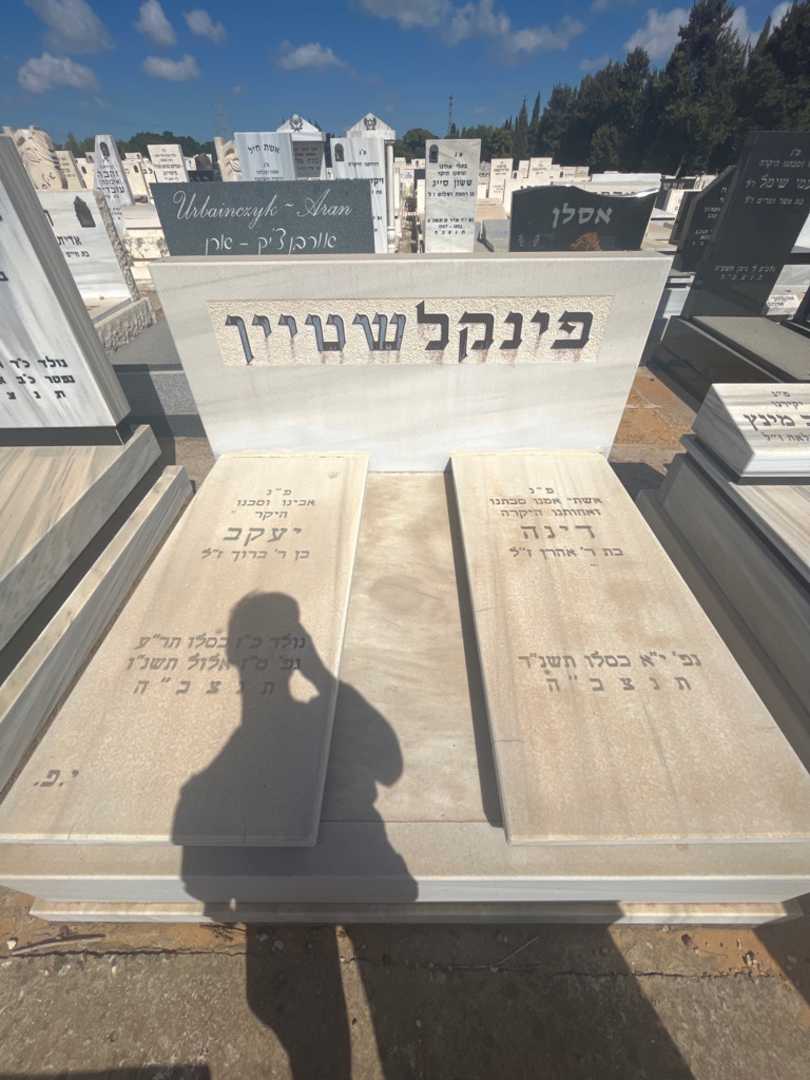 קברו של דינה פינקלשטיין. תמונה 2