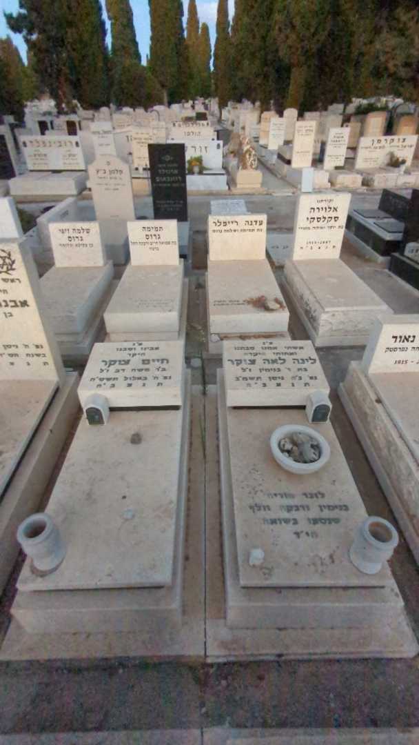 קברו של רבקה וולף. תמונה 2