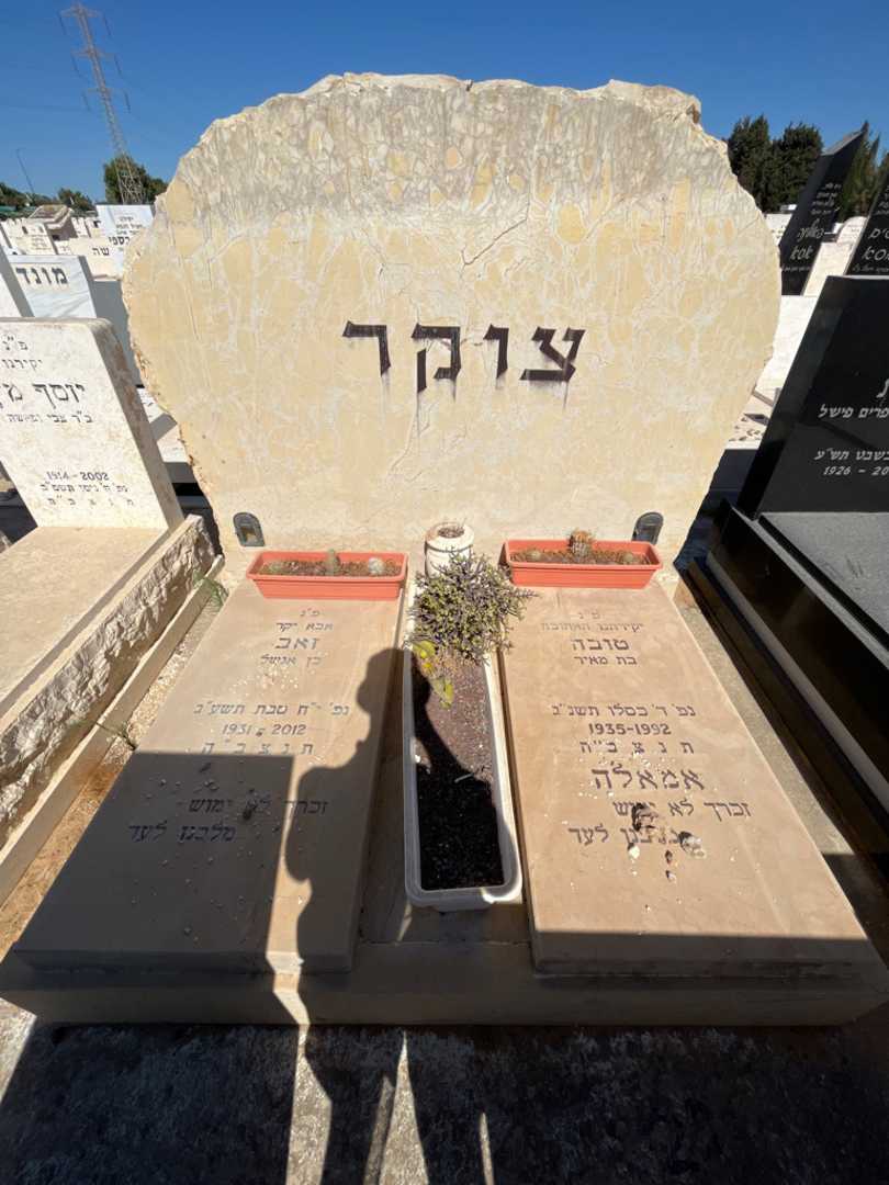 קברו של טובה צוקר. תמונה 1