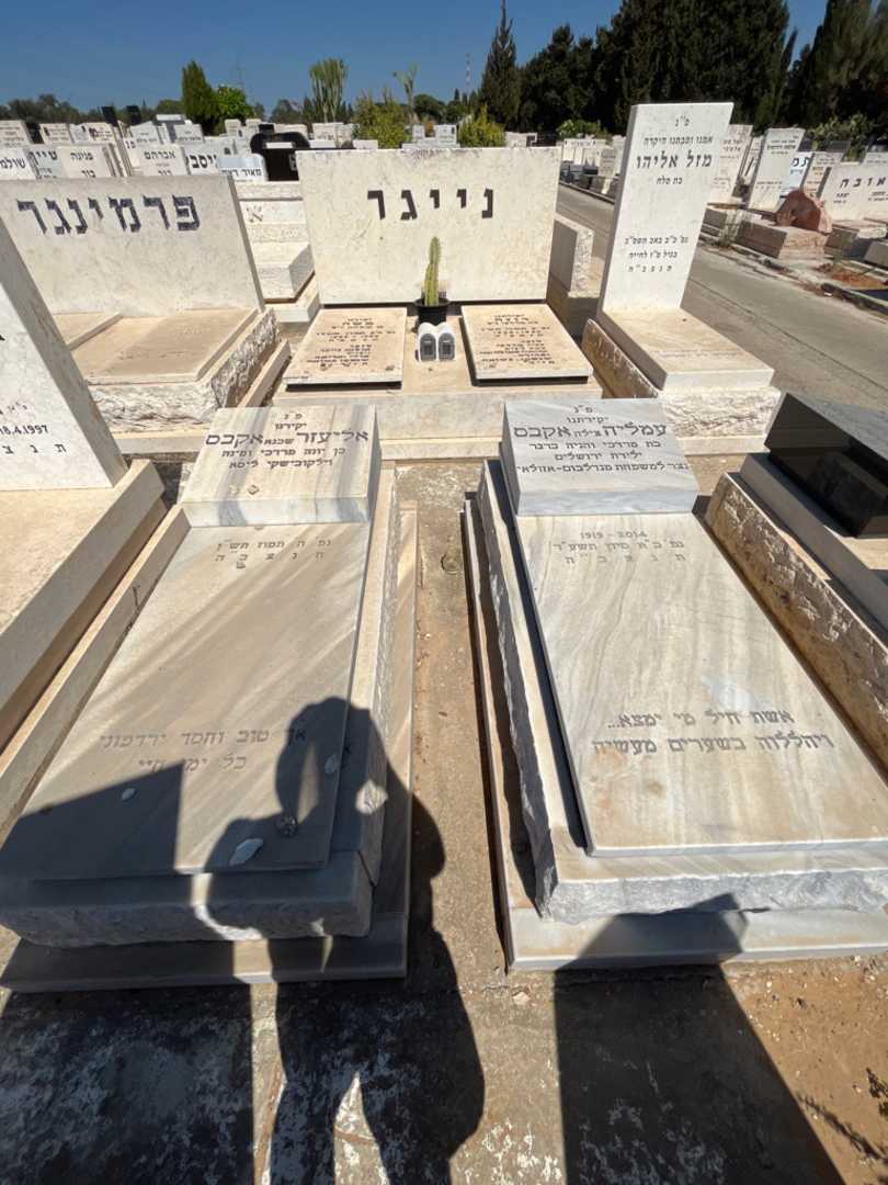 קברו של עמליה "צילה" אקבס. תמונה 1