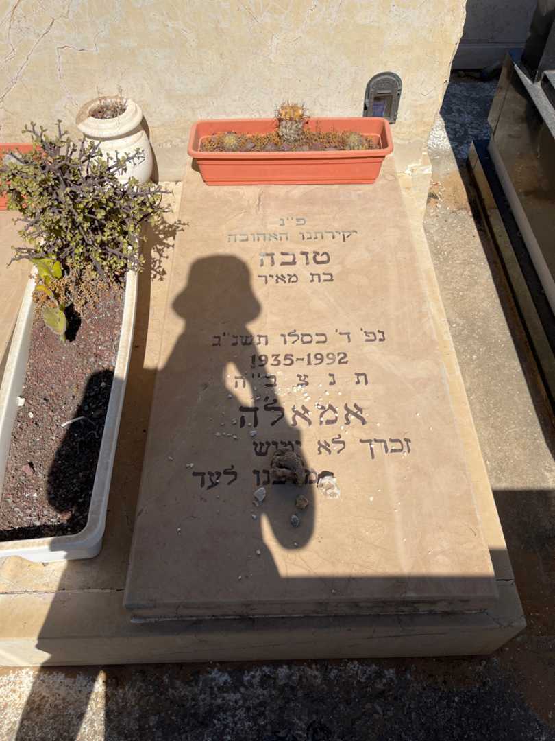 קברו של טובה צוקר. תמונה 2