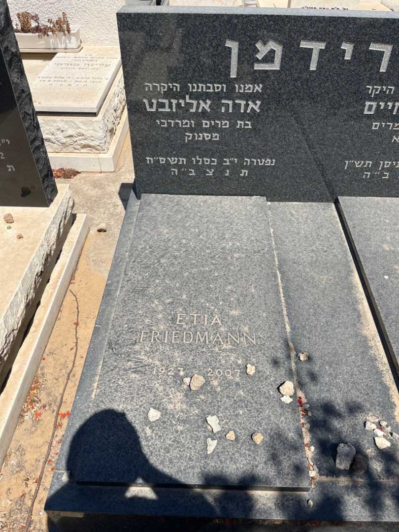 קברו של אדה עליזבט פרידמן. תמונה 1
