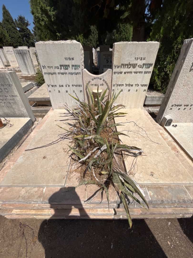 קברו של שלמה יפת. תמונה 2