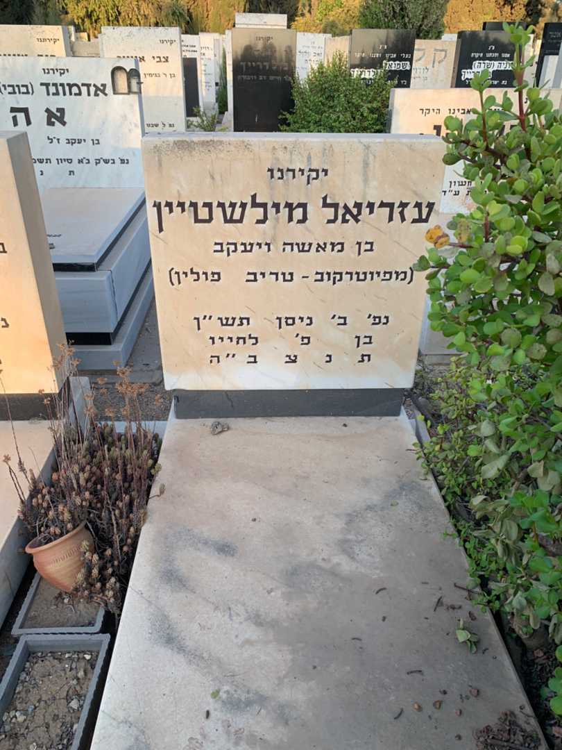 קברו של עזריאל מילשטיין. תמונה 2