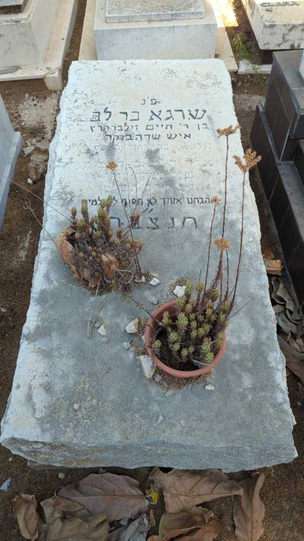 קברו של שרגא בר לב