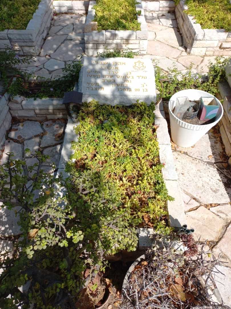 קברו של אהרן "שרלי" אנקורי